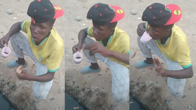 created by photogrid